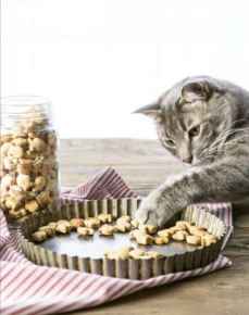 Picture for category Cat Treats